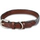 Petface Outdoor Paws Neoprene Padded Dog Collar, Large, Large