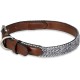 Petface Outdoor Paws Neoprene Padded Dog Collar, Large, Large