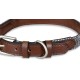 Petface Outdoor Paws Neoprene Padded Dog Collar, Large, Large