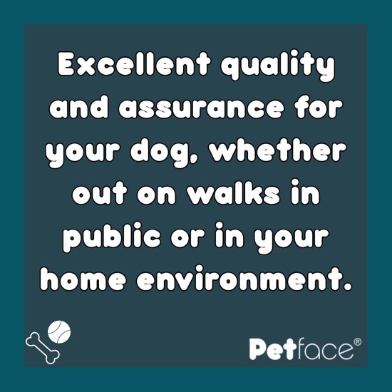 Petface Outdoor Paws Neoprene Padded Dog Collar, Large, Large Petface Outdoor Paws Neoprene Padded Dog Collar, Large, Large