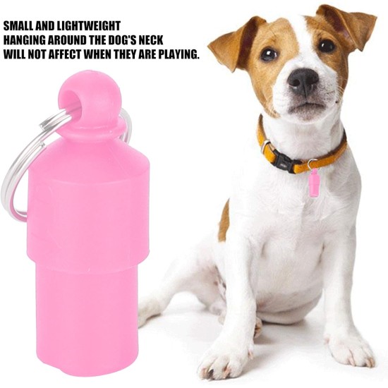 Pssopp Address Tags Pack of 20 Dog ID Tag Mini Anti Lost Pet Tube Tag Waterproof Plastic ID Name Tags Dog Collar Pendant Label for Dogs Puppies Cats, black, Small Pssopp Address Tags Pack of 20 Dog ID Tag Mini Anti Lost Pet Tube Tag Waterproof Plastic ID Name Tags Dog Collar Pendant Label for Dogs Puppies Cats, black, Small