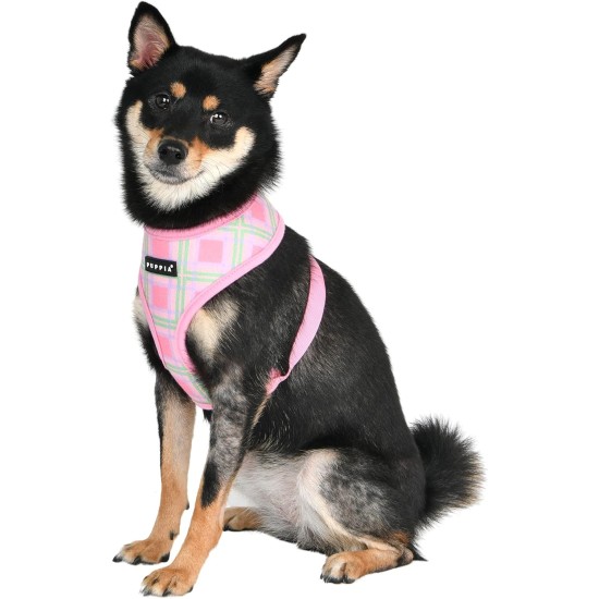 Puppia Spring and Summer Fashion Over-The-Head Dog Harness, Beige_Minmi, Medium Puppia Spring and Summer Fashion Over-The-Head Dog Harness, Beige_Minmi, Medium