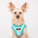 Puppia Spring and Summer Fashion Over-The-Head Dog Harness, Beige_Minmi, Medium Puppia Spring and Summer Fashion Over-The-Head Dog Harness, Beige_Minmi, Medium