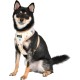 Puppia Spring and Summer Fashion Over-The-Head Dog Harness, Beige_Minmi, Medium Puppia Spring and Summer Fashion Over-The-Head Dog Harness, Beige_Minmi, Medium