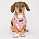 Puppia Spring and Summer Fashion Over-The-Head Dog Harness, Beige_Minmi, Medium Puppia Spring and Summer Fashion Over-The-Head Dog Harness, Beige_Minmi, Medium