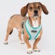Puppia Spring and Summer Fashion Over-The-Head Dog Harness, Beige_Minmi, Medium Puppia Spring and Summer Fashion Over-The-Head Dog Harness, Beige_Minmi, Medium