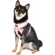 Puppia Spring and Summer Fashion Over-The-Head Dog Harness, Beige_Minmi, Medium Puppia Spring and Summer Fashion Over-The-Head Dog Harness, Beige_Minmi, Medium