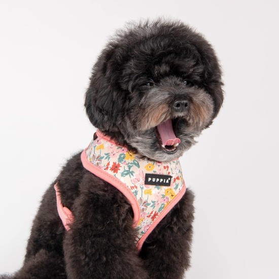 Puppia Spring and Summer Fashion Over-The-Head Dog Harness, Beige_Minmi, Medium Puppia Spring and Summer Fashion Over-The-Head Dog Harness, Beige_Minmi, Medium