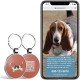 QR Code Dog Tag ID 41 Dog Breeds Personalised Social Online Site Free Online Pet Profile Modificable Privacy Control No App Required QR Code Dog Tag ID 41 Dog Breeds Personalised Social Online Site Free Online Pet Profile Modificable Privacy Control No App Required