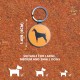 QR Code Dog Tag ID 41 Dog Breeds Personalised Social Online Site Free Online Pet Profile Modificable Privacy Control No App Required QR Code Dog Tag ID 41 Dog Breeds Personalised Social Online Site Free Online Pet Profile Modificable Privacy Control No App Required
