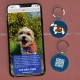 QR Code Dog Tag ID 41 Dog Breeds Personalised Social Online Site Free Online Pet Profile Modificable Privacy Control No App Required QR Code Dog Tag ID 41 Dog Breeds Personalised Social Online Site Free Online Pet Profile Modificable Privacy Control No App Required