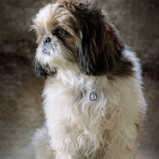 QR Code Dog Tag ID 41 Dog Breeds Personalised Social Online Site Free Online Pet Profile Modificable Privacy Control No App Required QR Code Dog Tag ID 41 Dog Breeds Personalised Social Online Site Free Online Pet Profile Modificable Privacy Control No App Required