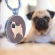 QR Code Dog Tag ID 41 Dog Breeds Personalised Social Online Site Free Online Pet Profile Modificable Privacy Control No App Required QR Code Dog Tag ID 41 Dog Breeds Personalised Social Online Site Free Online Pet Profile Modificable Privacy Control No App Required