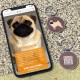 QR Code Dog Tag ID 41 Dog Breeds Personalised Social Online Site Free Online Pet Profile Modificable Privacy Control No App Required QR Code Dog Tag ID 41 Dog Breeds Personalised Social Online Site Free Online Pet Profile Modificable Privacy Control No App Required