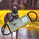 QR Code Silent Dog Tag ID 18 Dog Breeds Personalised Social Online Site Free Online Pet Profile Modification Control Privacy No App Required QR Code Silent Dog Tag ID 18 Dog Breeds Personalised Social Online Site Free Online Pet Profile Modification Control Privacy No App Required