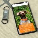 QR Code Silent Dog Tag ID 18 Dog Breeds Personalised Social Online Site Free Online Pet Profile Modification Control Privacy No App Required QR Code Silent Dog Tag ID 18 Dog Breeds Personalised Social Online Site Free Online Pet Profile Modification Control Privacy No App Required
