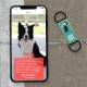 QR Code Silent Dog Tag ID 18 Dog Breeds Personalised Social Online Site Free Online Pet Profile Modification Control Privacy No App Required QR Code Silent Dog Tag ID 18 Dog Breeds Personalised Social Online Site Free Online Pet Profile Modification Control Privacy No App Required