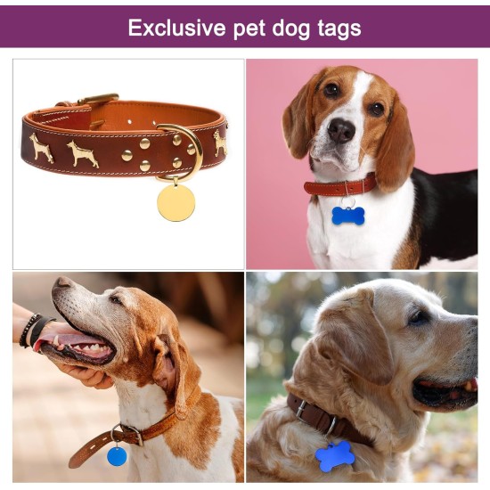 QUARKZMAN Metal Round Tags Stamps, Golden Blank Dog Tags 1.38 Inch Circle DIY Engraving Blank Tags Pack of 5, Stainless Steel with Hole for Pet Dog ID Tags, Pendant Decoration, Craft Tags QUARKZMAN Metal Round Tags Stamps, Golden Blank Dog Tags 1.38 Inch Circle DIY Engraving Blank Tags Pack of 5, Stainless Steel with Hole for Pet Dog ID Tags, Pendant Decoration, Craft Tags