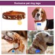 QUARKZMAN Metal Round Tags Stamps, Golden Blank Dog Tags 1.38 Inch Circle DIY Engraving Blank Tags Pack of 5, Stainless Steel with Hole for Pet Dog ID Tags, Pendant Decoration, Craft Tags QUARKZMAN Metal Round Tags Stamps, Golden Blank Dog Tags 1.38 Inch Circle DIY Engraving Blank Tags Pack of 5, Stainless Steel with Hole for Pet Dog ID Tags, Pendant Decoration, Craft Tags