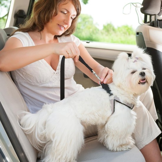 Ram 2 Pack 70cm Adjustable Car Seat Belt for Dogs and Cats Heavy Duty Clip On Ram 2 Pack 70cm Adjustable Car Seat Belt for Dogs and Cats Heavy Duty Clip On