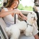 Ram 2 Pack 70cm Adjustable Car Seat Belt for Dogs and Cats Heavy Duty Clip On Ram 2 Pack 70cm Adjustable Car Seat Belt for Dogs and Cats Heavy Duty Clip On