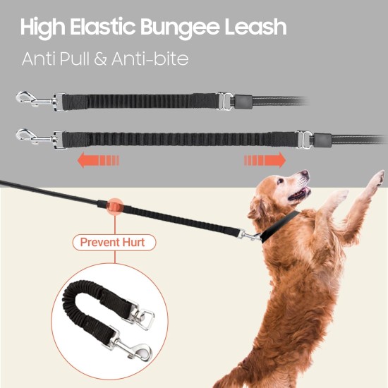 Retractable Dog Lead with Torch 5 m Happy & Polly Protective Bungee Lead Practical Hook Reflective Fishing Line Woven Strong Band One-Handed Release Pause and Lock Retractable Dog Lead with Torch 5 m Happy & Polly Protective Bungee Lead Practical Hook Reflective Fishing Line Woven Strong Band One-Handed Release Pause and Lock