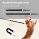 Retractable Dog Lead with Torch 5 m Happy & Polly Protective Bungee Lead Practical Hook Reflective Fishing Line Woven Strong Band One-Handed Release Pause and Lock Retractable Dog Lead with Torch 5 m Happy & Polly Protective Bungee Lead Practical Hook Reflective Fishing Line Woven Strong Band One-Handed Release Pause and Lock
