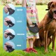 Retractable Dog Leash - Heavy Duty Extendable (5m) Lead | Non-Slip Handle with Locking Control | Strong Tangle-Free Nylon Strap & Collar Hook (Black, Large) Retractable Dog Leash - Heavy Duty Extendable (5m) Lead | Non-Slip Handle with Locking Control | Strong Tangle-Free Nylon Strap & Collar Hook (Black, Large)
