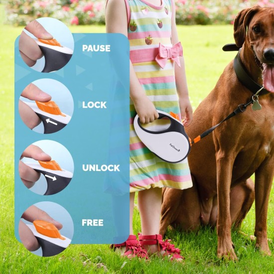 Retractable Dog Leash - Heavy Duty Extendable (5m) Lead | Non-Slip Handle with Locking Control | Strong Tangle-Free Nylon Strap & Collar Hook (Black, Large) Retractable Dog Leash - Heavy Duty Extendable (5m) Lead | Non-Slip Handle with Locking Control | Strong Tangle-Free Nylon Strap & Collar Hook (Black, Large)