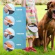 Retractable Dog Leash - Heavy Duty Extendable (5m) Lead | Non-Slip Handle with Locking Control | Strong Tangle-Free Nylon Strap & Collar Hook (Black, Large) Retractable Dog Leash - Heavy Duty Extendable (5m) Lead | Non-Slip Handle with Locking Control | Strong Tangle-Free Nylon Strap & Collar Hook (Black, Large)