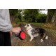 Retractable Roller Gel Leash Retractable Roller Gel Leash