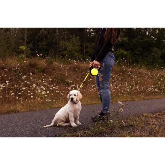 Retractable Roller Gel Leash Retractable Roller Gel Leash