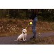 Retractable Roller Gel Leash Retractable Roller Gel Leash