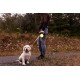 Retractable Roller Gel Leash Retractable Roller Gel Leash