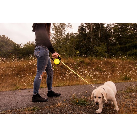 Retractable Roller Gel Leash Retractable Roller Gel Leash