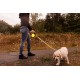 Retractable Roller Gel Leash Retractable Roller Gel Leash