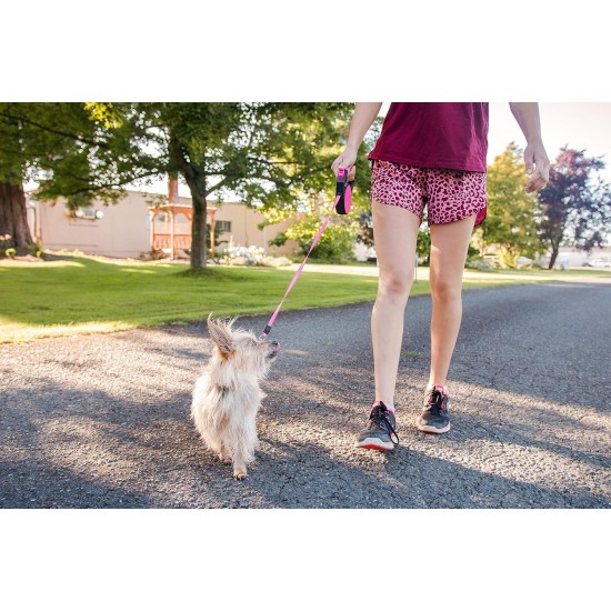 Retractable Roller Gel Leash Retractable Roller Gel Leash