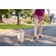 Retractable Roller Gel Leash Retractable Roller Gel Leash