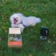 【Robustes einziehbares Hunde-Auslaufkabel】 Die ultimative Hundeleine für draußen - Super Starkes ausbindendes einziehbares Kabel für Hunde Vielseitige einziehbare Hundeleinen für den Hof 【Robustes einziehbares Hunde-Auslaufkabel】 Die ultimative Hundeleine für draußen - Super Starkes ausbindendes einziehbares Kabel für Hunde Vielseitige einziehbare Hundeleinen für den Hof