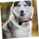 SEWOART Pack of 25 Empty Labels Pet ID Tag Punch Blanks Metal Pet Pendant Dog ID Tag Charms Pendant Jewellery Blank Tags for Pets Dog Tag DIY Pet Dog SEWOART Pack of 25 Empty Labels Pet ID Tag Punch Blanks Metal Pet Pendant Dog ID Tag Charms Pendant Jewellery Blank Tags for Pets Dog Tag DIY Pet Dog