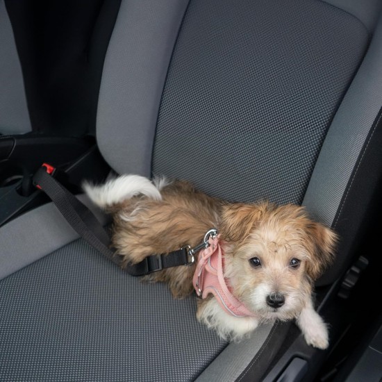 Sakura Dog Seat Belt Travel Belt Sakura Dog Seat Belt Travel Belt