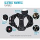 Sherpa Crash-Tested Multi-Purpose Seatbelt Harness, Black, Large Sherpa Crash-Tested Multi-Purpose Seatbelt Harness, Black, Large