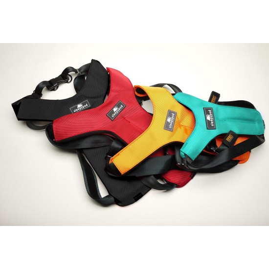 Sleepypod Clickit Sport Safety Harness (Orange Dream, Large) by Clickit Sport Harness Sleepypod Clickit Sport Safety Harness (Orange Dream, Large) by Clickit Sport Harness