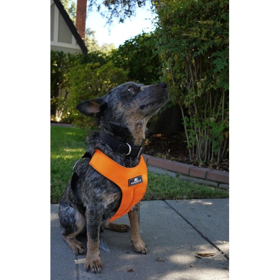 Sleepypod Clickit Sport Safety Harness (Orange Dream, Large) by Clickit Sport Harness Sleepypod Clickit Sport Safety Harness (Orange Dream, Large) by Clickit Sport Harness