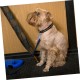 Stainless Steel Pet Tags Clips with Quick Release and Rings Dog Cat Collar Clip for Secure Attachment of ID Tags to Collar or Harness Pack of 3 Stainless Steel Pet Tags Clips with Quick Release and Rings Dog Cat Collar Clip for Secure Attachment of ID Tags to Collar or Harness Pack of 3