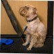 Stainless Steel Pet Tags Clips with Quick Release and Rings Dog Cat Collar Clip for Secure Attachment of ID Tags to Collar or Harness Pack of 3 Stainless Steel Pet Tags Clips with Quick Release and Rings Dog Cat Collar Clip for Secure Attachment of ID Tags to Collar or Harness Pack of 3