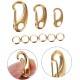 Stainless Steel Pet Tags Clips with Quick Release and Rings Dog Cat Collar Clip for Secure Attachment of ID Tags to Collar or Harness Pack of 3 Stainless Steel Pet Tags Clips with Quick Release and Rings Dog Cat Collar Clip for Secure Attachment of ID Tags to Collar or Harness Pack of 3