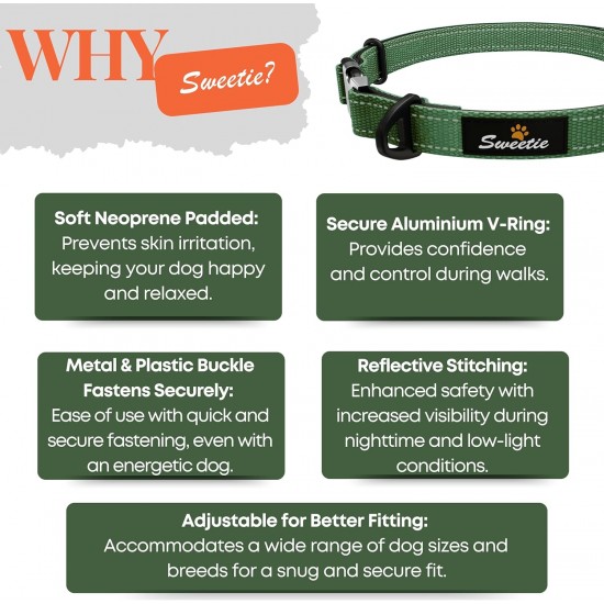 Strong Dog Collar Medium Dogs - Orange Reflective Padded Dog Collars - Adjustable - Safety Metal Buckle, Aluminium V-Ring Strong Dog Collar Medium Dogs - Orange Reflective Padded Dog Collars - Adjustable - Safety Metal Buckle, Aluminium V-Ring