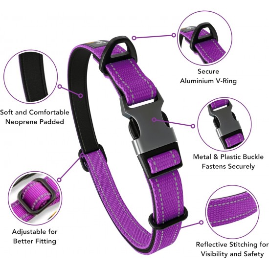 Strong Dog Collar Medium Dogs - Orange Reflective Padded Dog Collars - Adjustable - Safety Metal Buckle, Aluminium V-Ring Strong Dog Collar Medium Dogs - Orange Reflective Padded Dog Collars - Adjustable - Safety Metal Buckle, Aluminium V-Ring