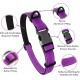 Strong Dog Collar Medium Dogs - Orange Reflective Padded Dog Collars - Adjustable - Safety Metal Buckle, Aluminium V-Ring Strong Dog Collar Medium Dogs - Orange Reflective Padded Dog Collars - Adjustable - Safety Metal Buckle, Aluminium V-Ring